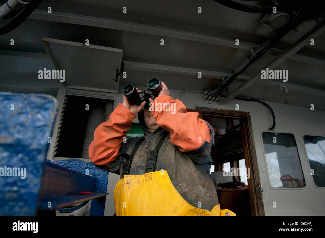Le capitaine observe d'autres chalutiers de pêche. Banc Stellwagen Banques, New England, United States, North Atlantic Ocean Banque D'Images