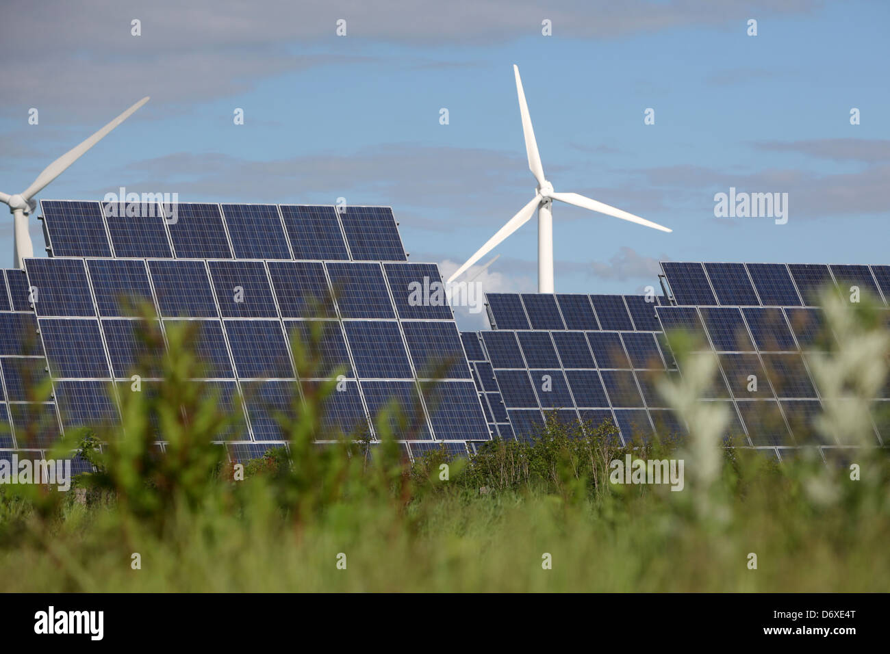 Nordhackstedt, Allemagne, ferme solaire composé de systèmes de suivi Banque D'Images