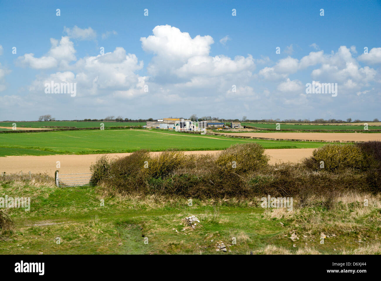 Les terres agricoles, près de gileston Llantwit Major, Vale of Glamorgan, Pays de Galles, Royaume-Uni Banque D'Images