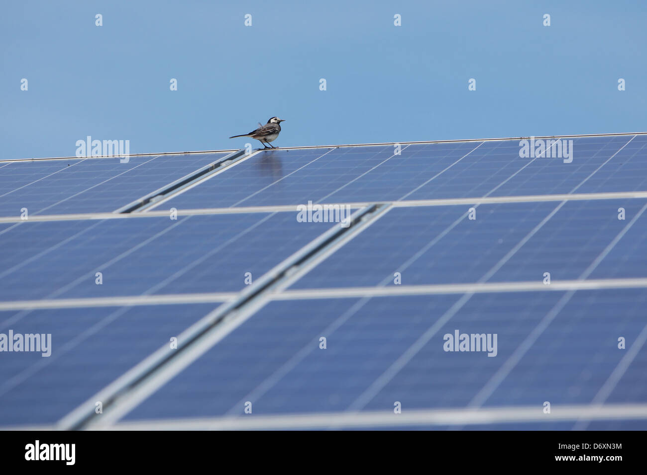 Nordhackstedt, Allemagne, ferme solaire composé de systèmes de suivi Banque D'Images