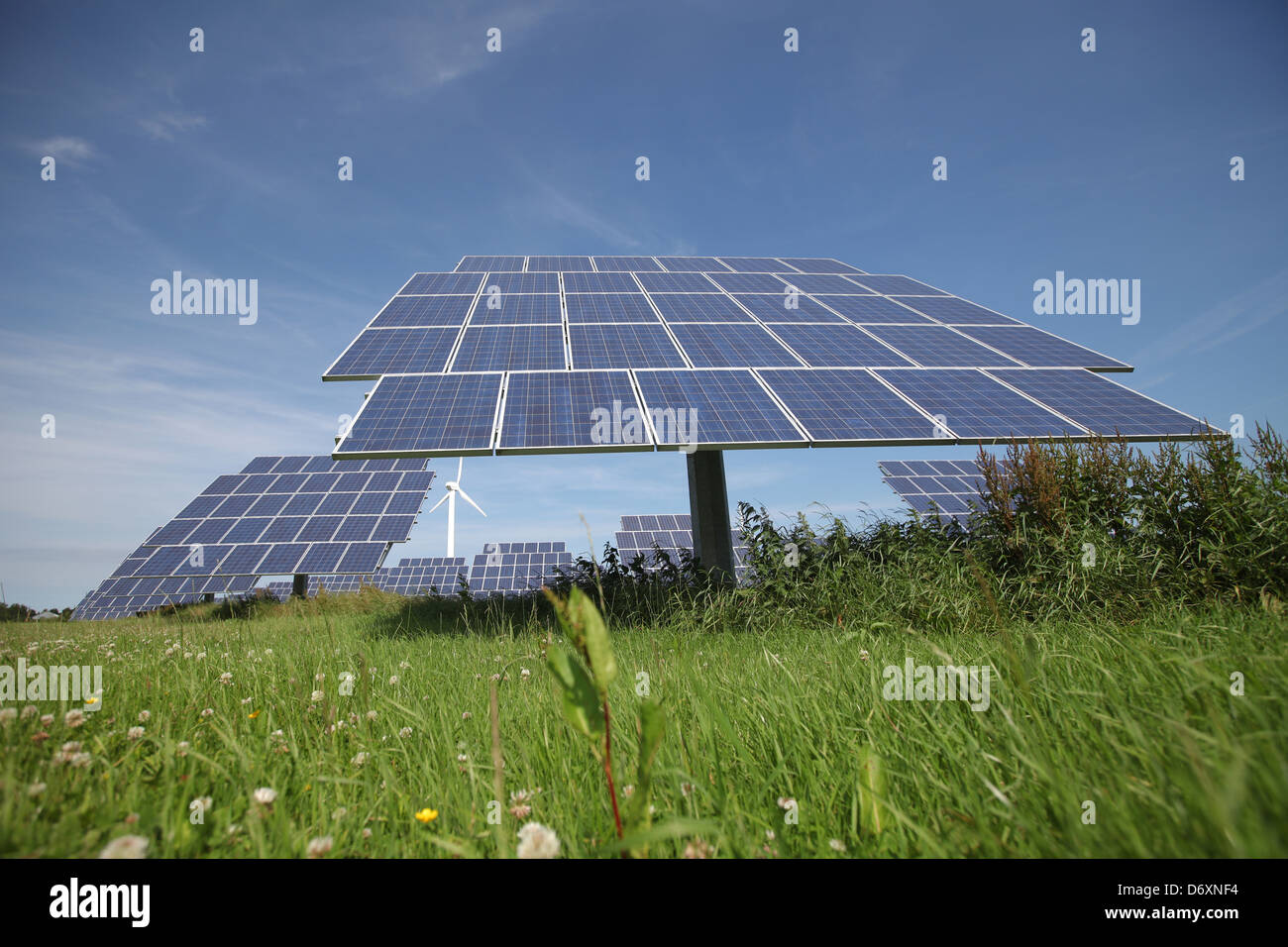 Nordhackstedt, Allemagne, ferme solaire composé de systèmes de suivi Banque D'Images