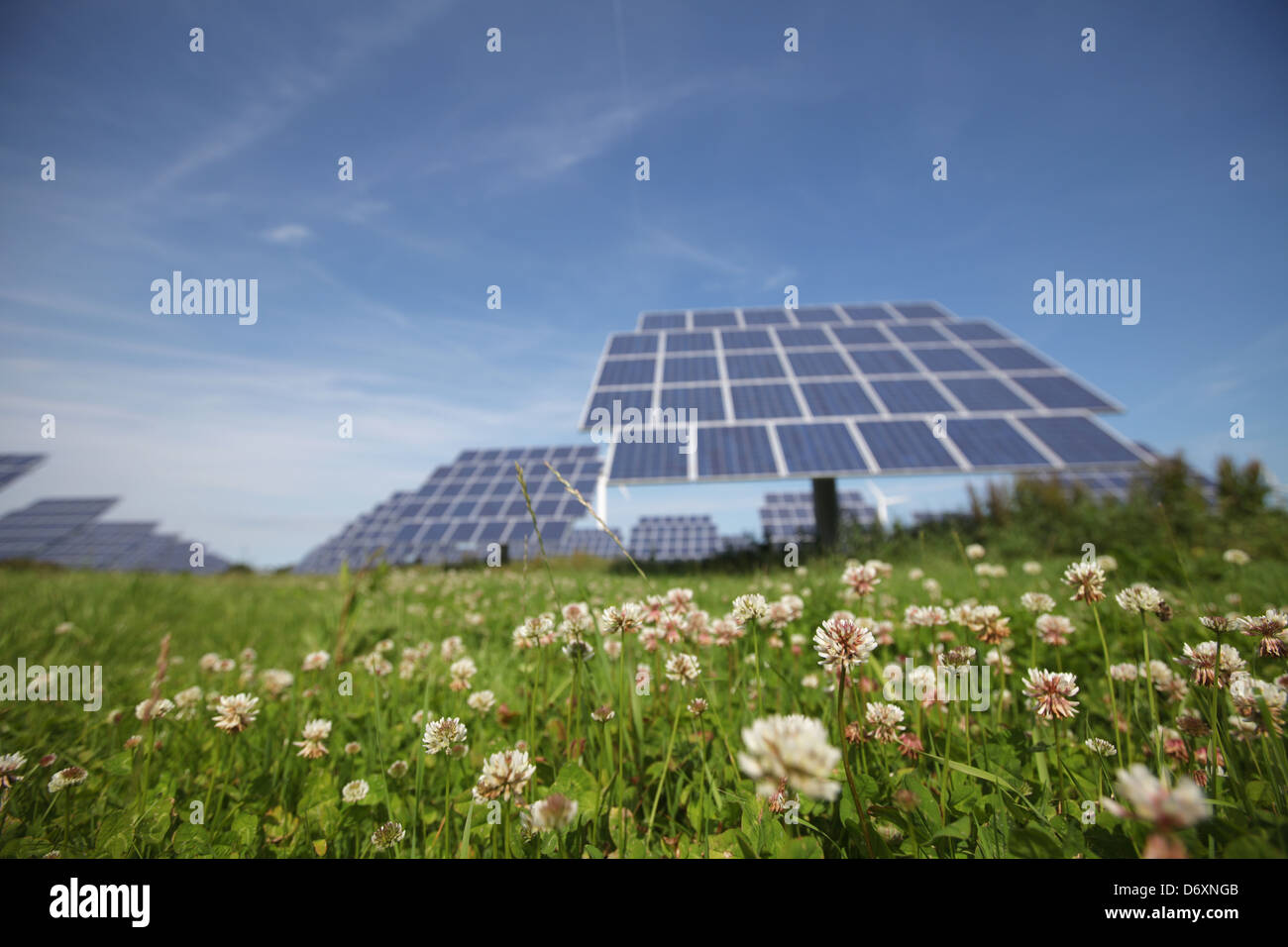 Nordhackstedt, Allemagne, ferme solaire composé de systèmes de suivi Banque D'Images