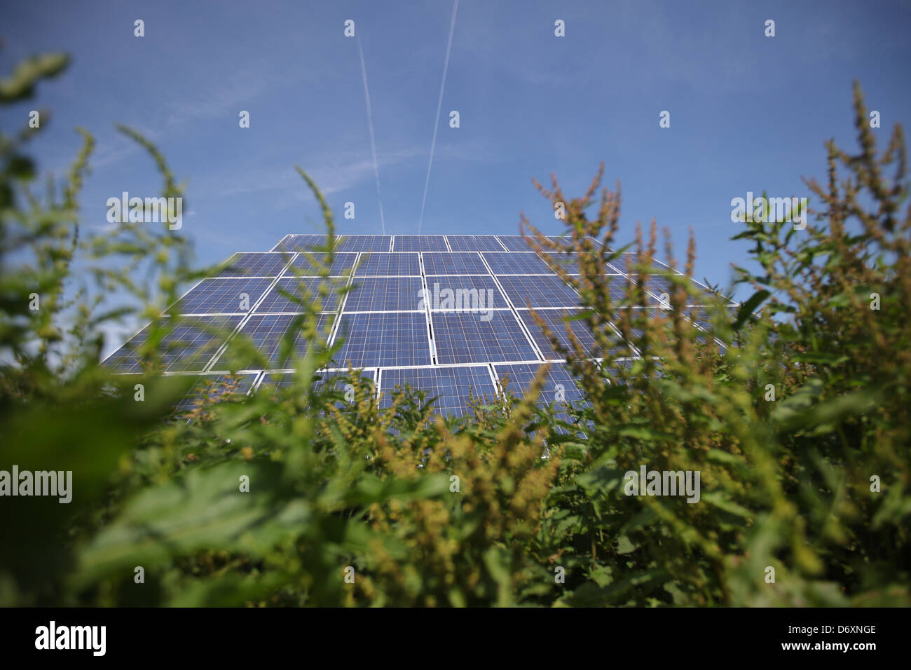 Nordhackstedt, Allemagne, ferme solaire composé de systèmes de suivi Banque D'Images