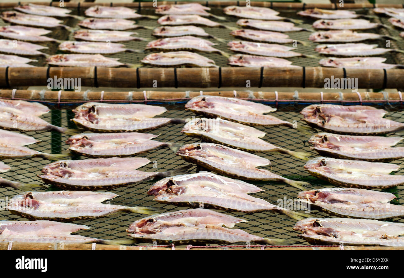Poisson en filets d'être séchées de façon traditionnelle dans le soleil sur des supports dans un petit village de pêcheurs de Chimei, Taiwan Banque D'Images