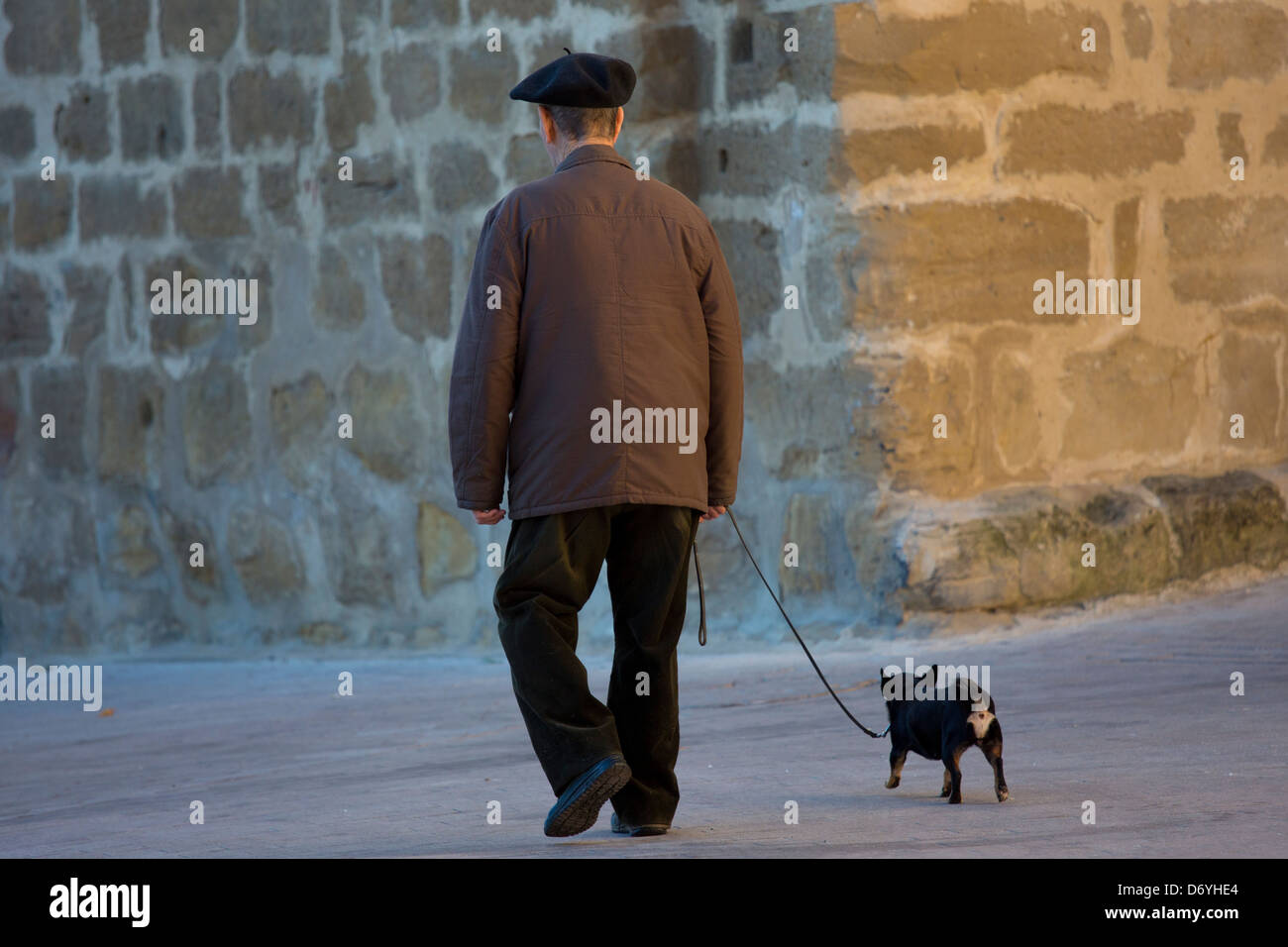 Vieil homme promenait son chien chihuahua dans les rues de Laguardia, le nord de l'Espagne Banque D'Images