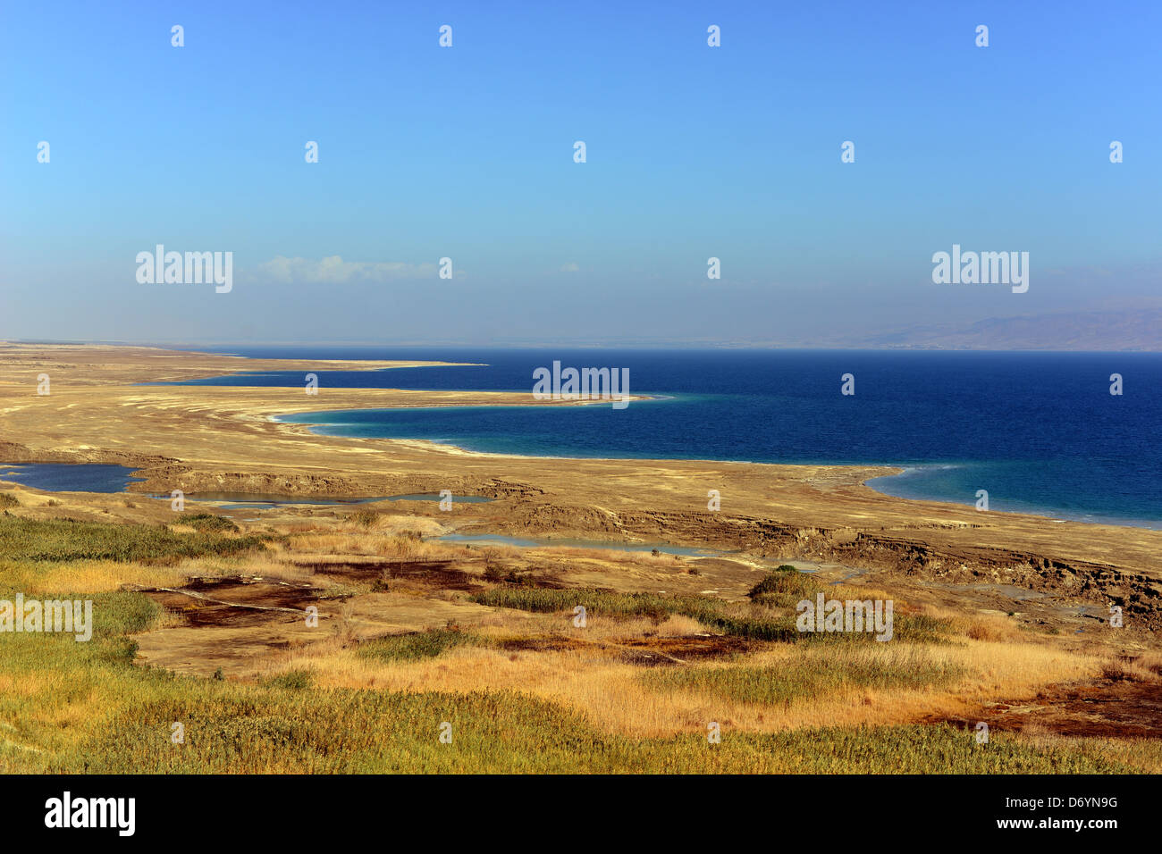 Rives de la mer morte Israël Banque D'Images