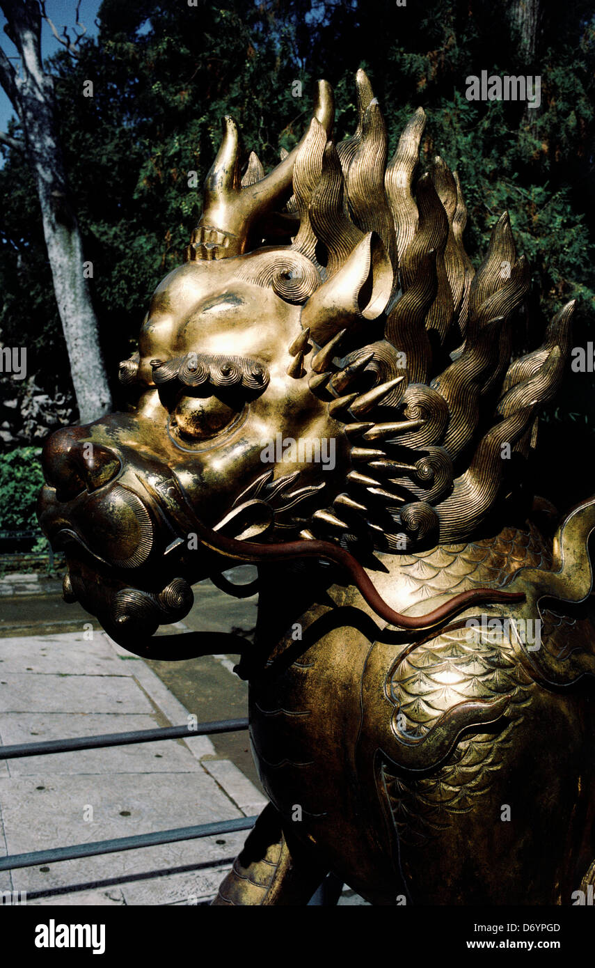 Lion doré en face du Palais de la longévité, paisible Cité Interdite, Beijing, Chine Banque D'Images Lion doré en face du Palais de la longévité, paisible Cité Interdite, Beijing, Chine Banque D'Images