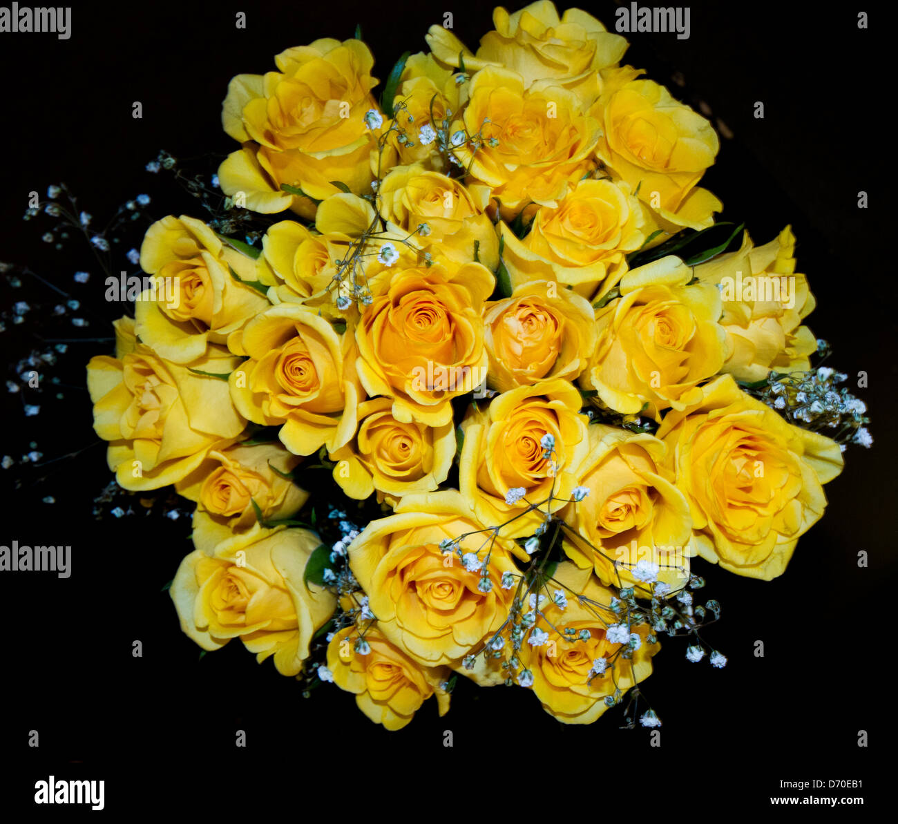 Bouquet de roses jaune isolé sur fond noir. Banque D'Images