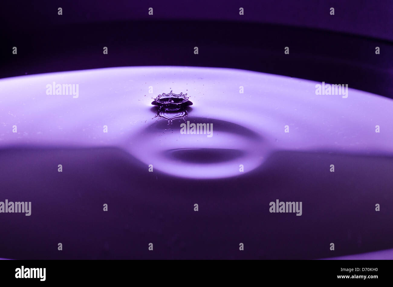 Purple Water drop splash Banque D'Images