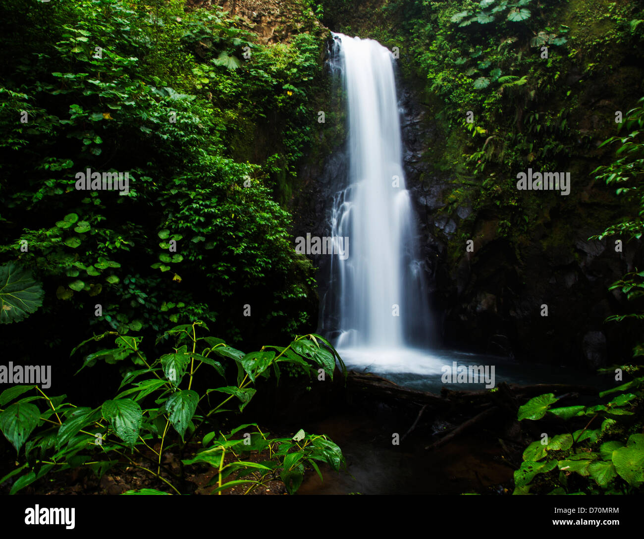 L'intérieur de la cascade jungle tropicale du Costa Rica Banque D'Images