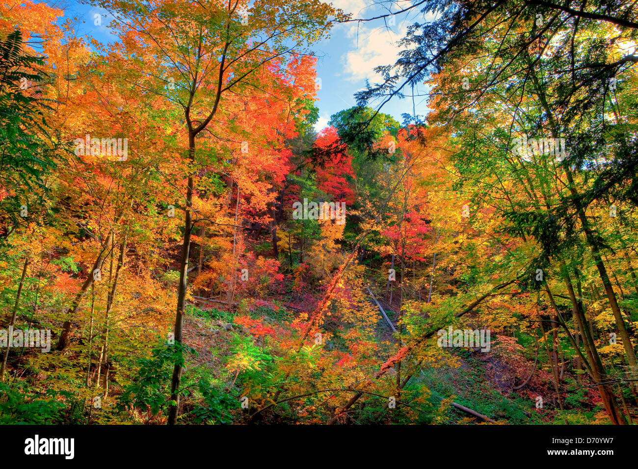 L'automne, l'Escarpement du Niagara, Ontario, Canada Banque D'Images