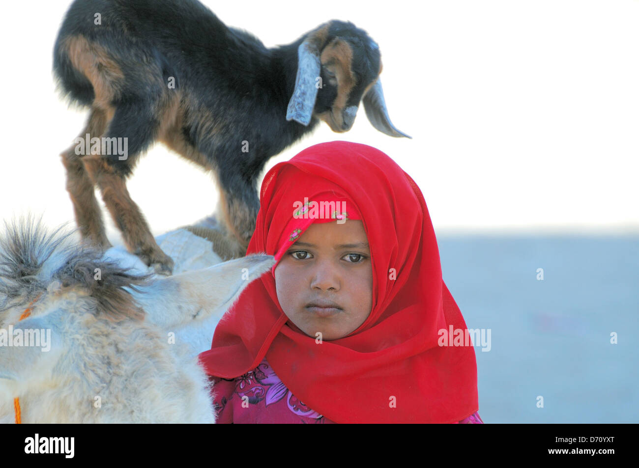 Portrait d'une jeune fille bédouine avec chèvre, Hurghada, Egypte, Afrique du Sud Banque D'Images