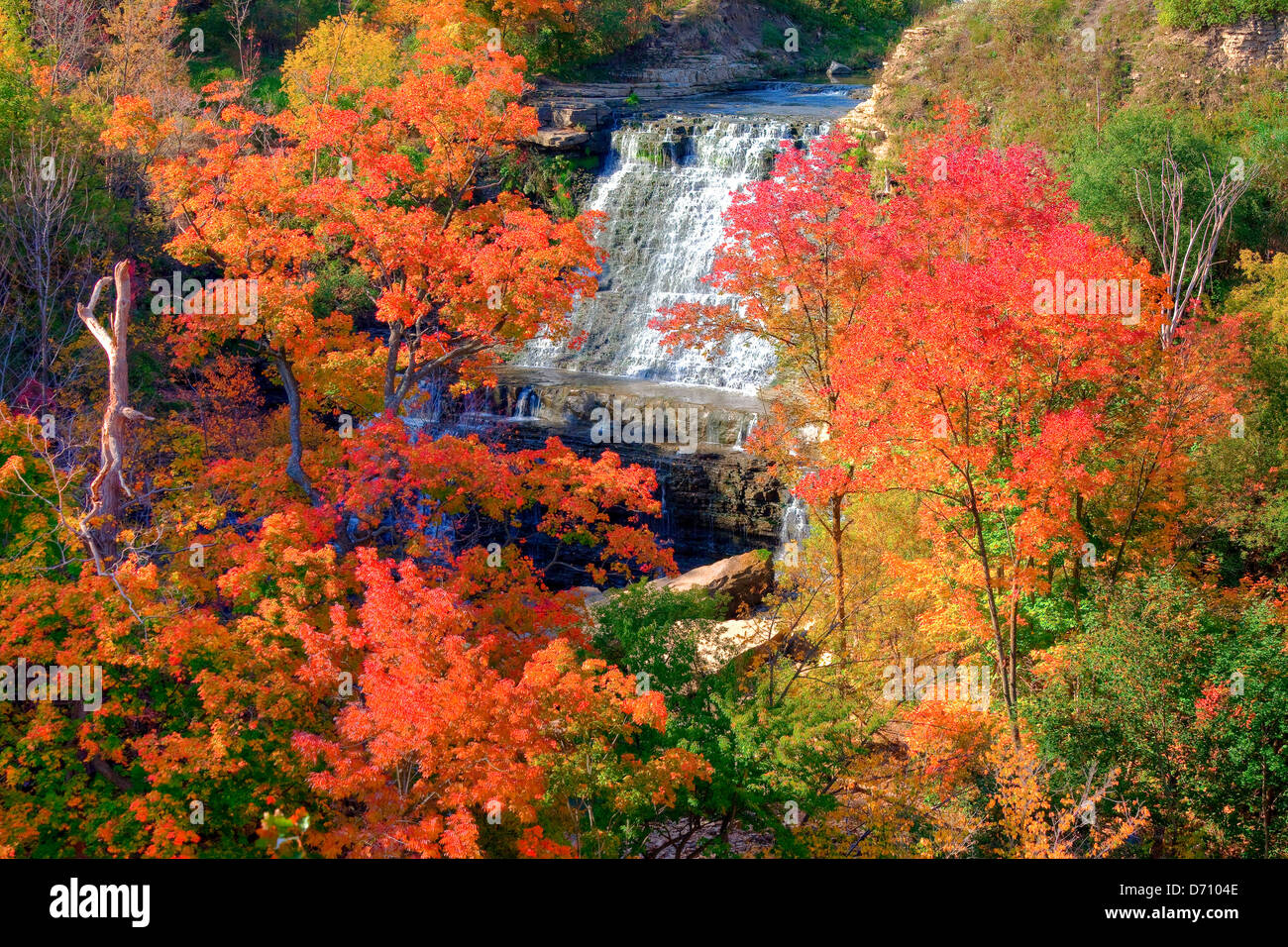 Chutes Albion en automne, l'Escarpement du Niagara, Hamilton, Ontario, Canada Banque D'Images