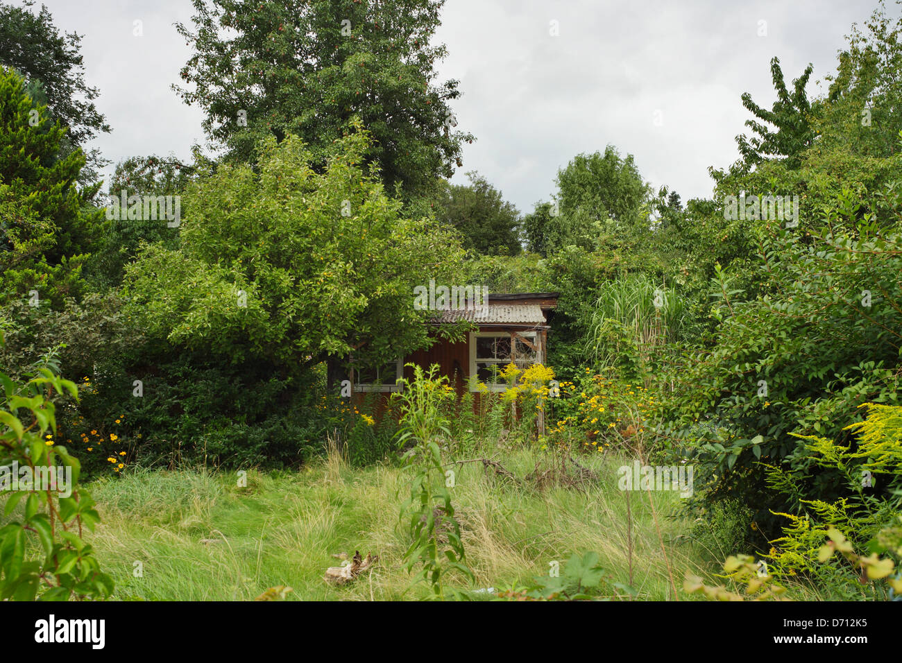 Berlin, Allemagne, Wochenendhaeuschen abandonné dans un jardin envahi par la Banque D'Images