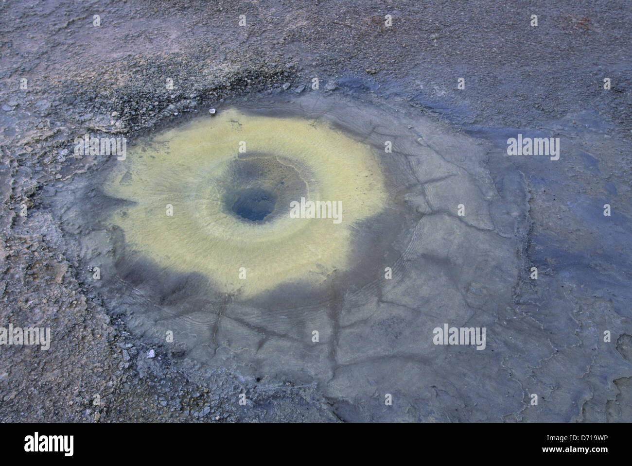 L'Islande, de l'intérieur, Hveravellir Hot Springs, algues colorées Banque D'Images