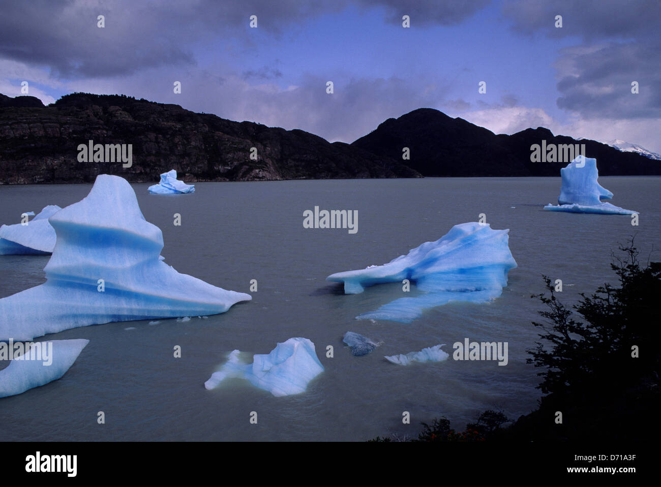 Le Chili, Torres del Paine Nat'l Park, le lac Grey, Icebergs Banque D'Images