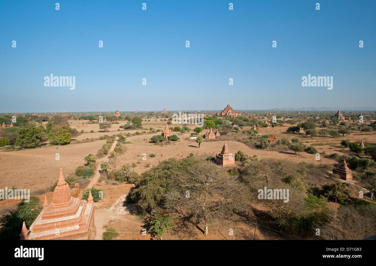Le Dhammayangyi Pagode dans la distance Bagan Myanmar (Birmanie) Banque D'Images