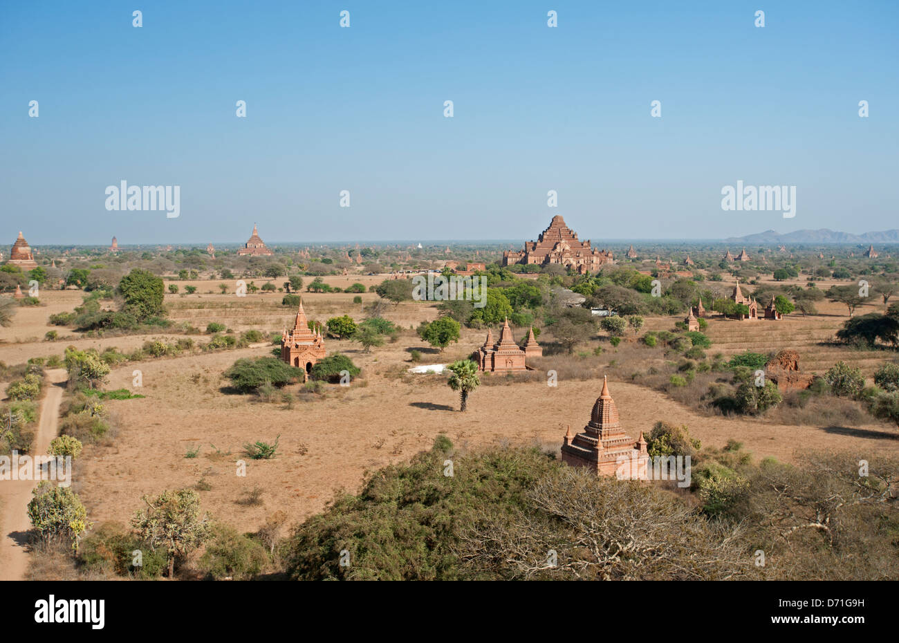 Le Dhammayangyi Pagode dans la distance Bagan Myanmar (Birmanie) Banque D'Images