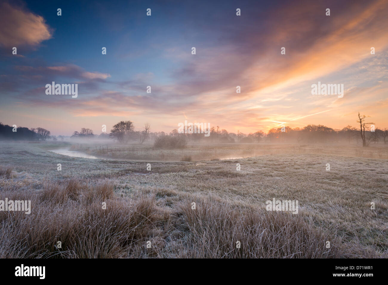 Rivière paysage typique des Pays-Bas à l'aube avec le brouillard et la rivière Banque D'Images