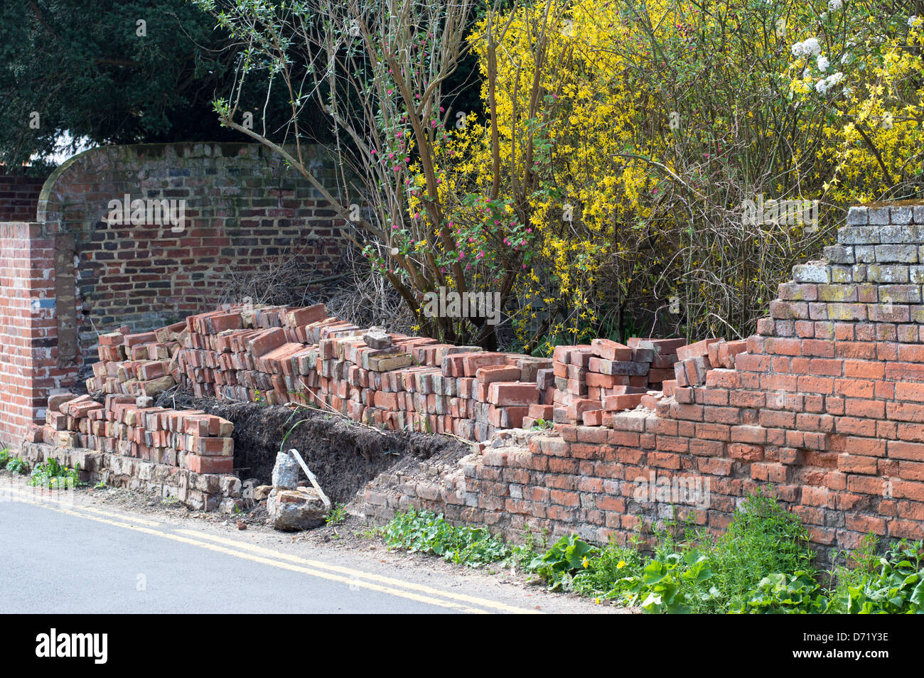 Les vestiges d'une vieille brique mur jardin après qu'il s'était effondré. Banque D'Images