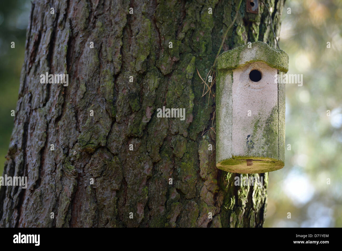 Maison d'oiseau sur un arbre Banque D'Images