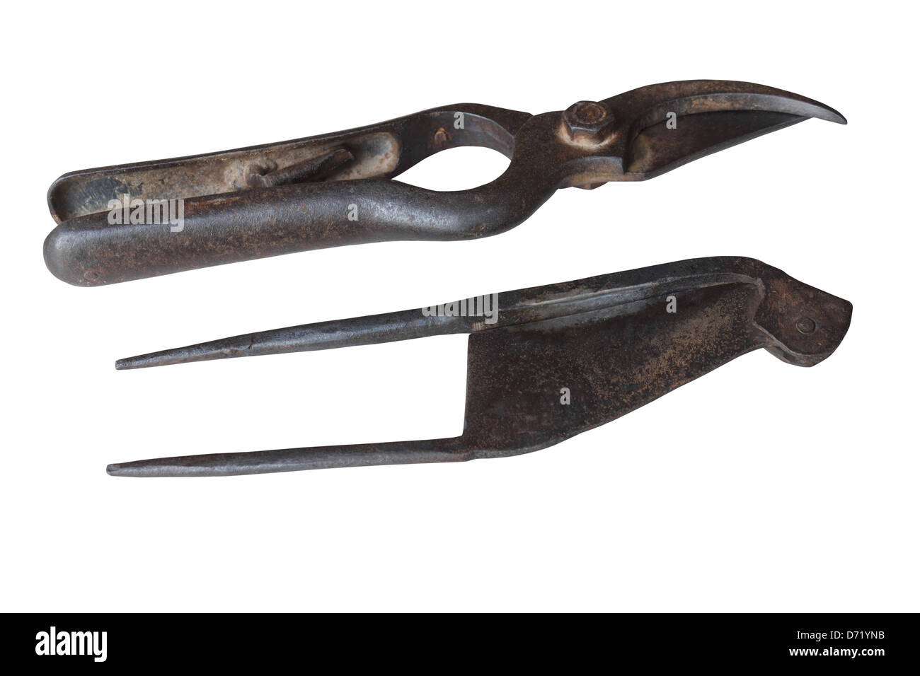 Ancien sécateur isolé sur fond blanc Banque D'Images