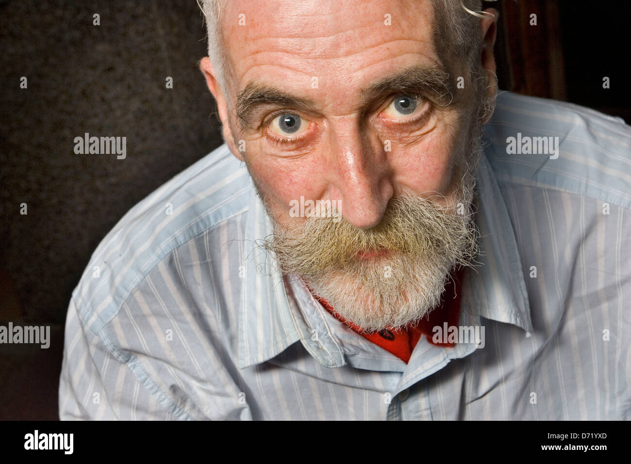 John Byrne - artiste et dramaturge écossais photographié à Édimbourg en Écosse. La dalle, les garçons Votre Cheatin' Heart et Tutti Frutti. Banque D'Images