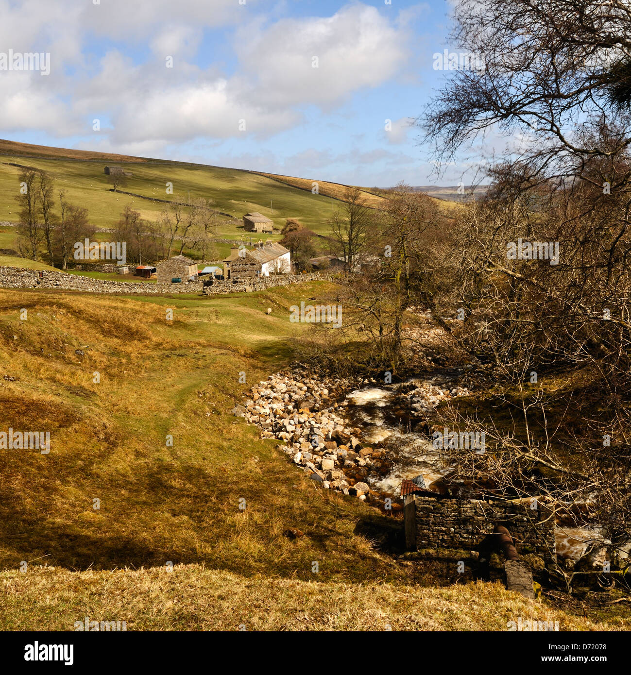 Russet couleurs du printemps au-dessus de Summer Lodge, Swaledale, Yorkshire, Angleterre Banque D'Images