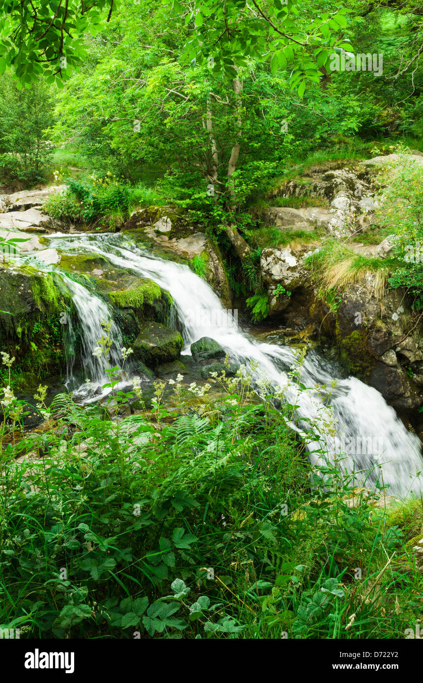 Force élevée cascade sur l'Aira Beck dans le Parc National du Lake District, Cumbria, Angleterre. Banque D'Images