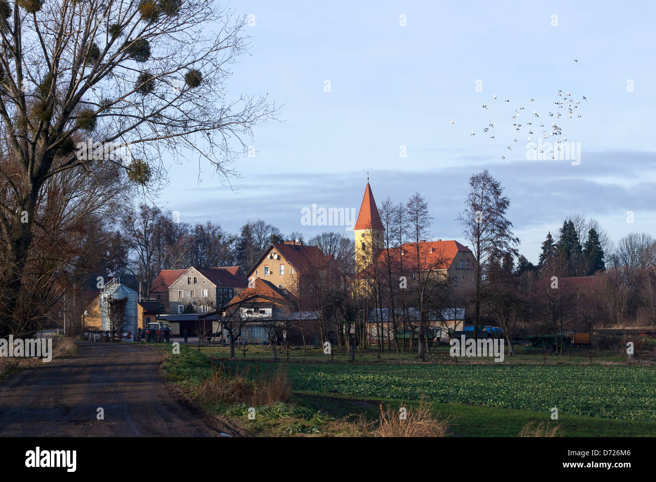 Campagne, la Basse Silésie, Pologne Banque D'Images