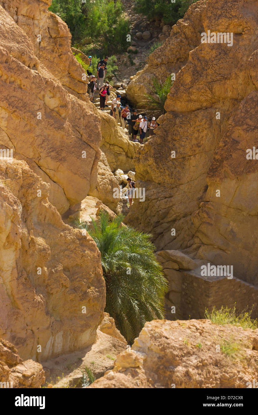 Les touristes en randonnée dans les gorges de Chebika dans Atlas-Sahara Mountain, près de Tozeur, Tunisie Banque D'Images