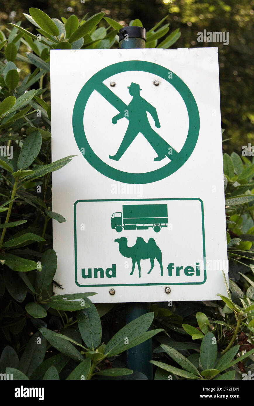 Münster, Allemagne, l'humour, signe - passage interdit, les camions et les chameaux gratuitement - Banque D'Images