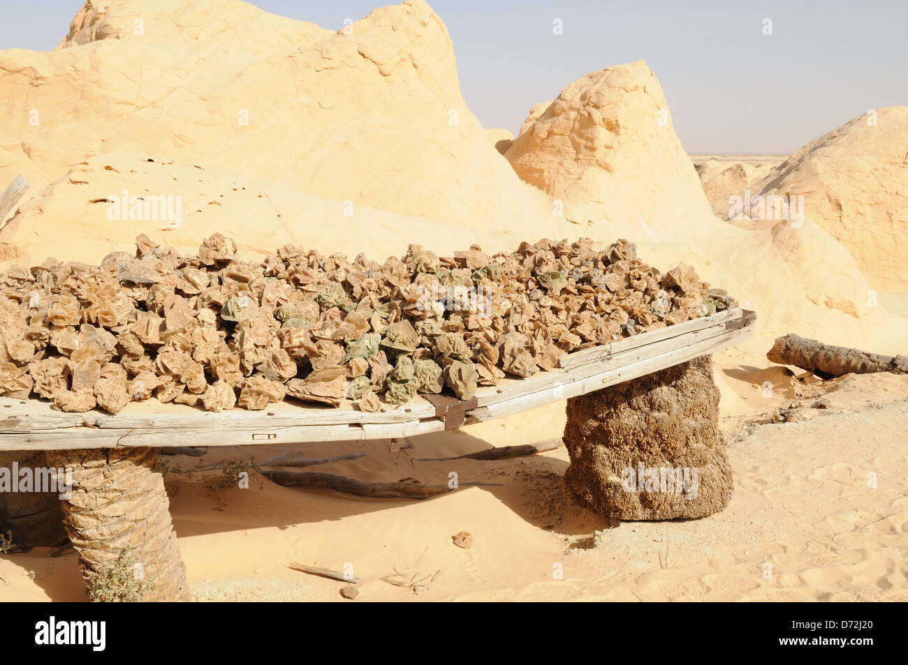 Desert Rose ou de gypse à petrified dunes près de Douz Banque D'Images