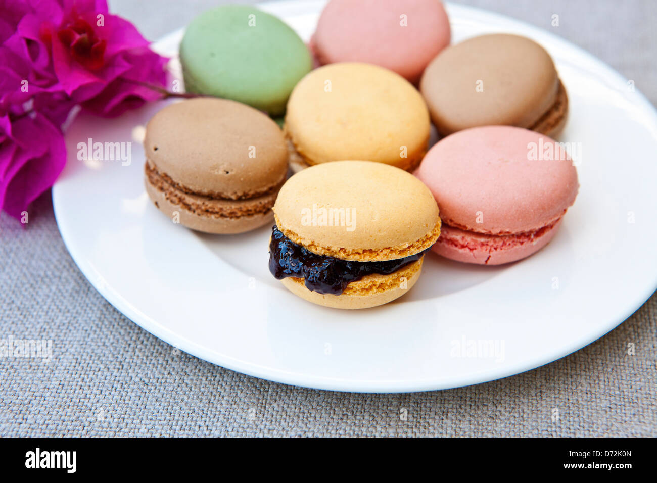 Une gamme de macarrons de couleurs variées et des saveurs Banque D'Images