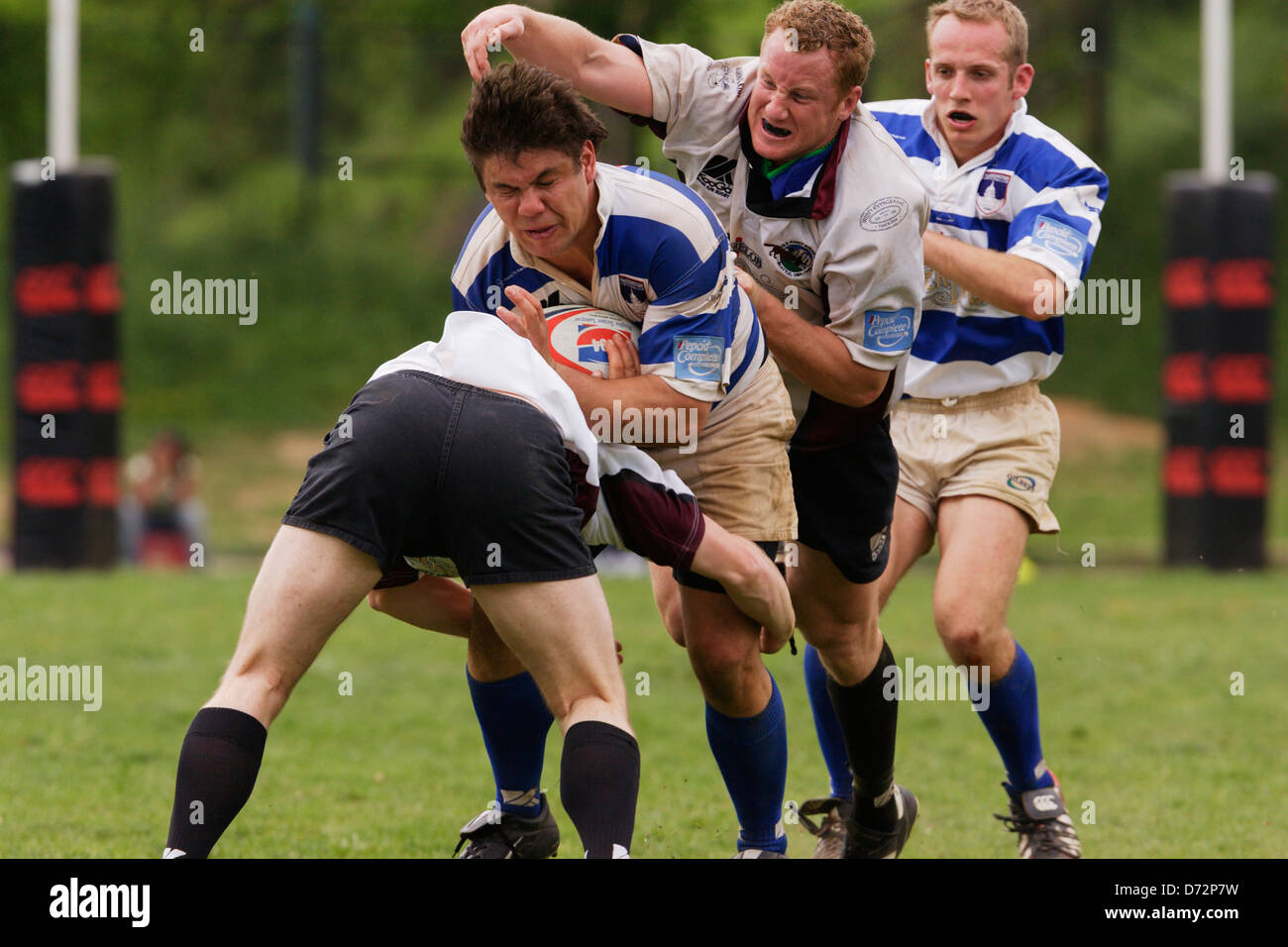 Un porte-ballon du Washington Rugby Football Club est attaqué par des joueurs du Old Puget Sound Rugby Football Club pendant un match. Usage éditorial exclusif. Utilisation commerciale interdite. Banque D'Images
