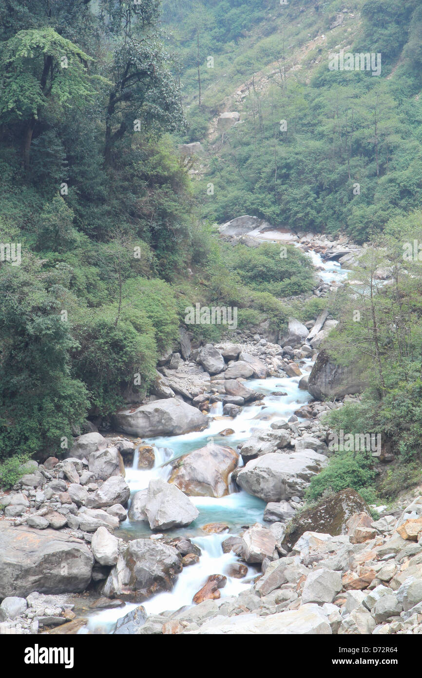 Sentier nature. Kanchenjunga sikkim national en Inde. Banque D'Images
