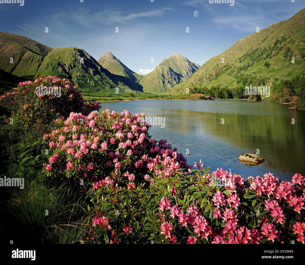 GB - Ecosse : Glen Etive dans les Highlands, l'Argyllshire Banque D'Images