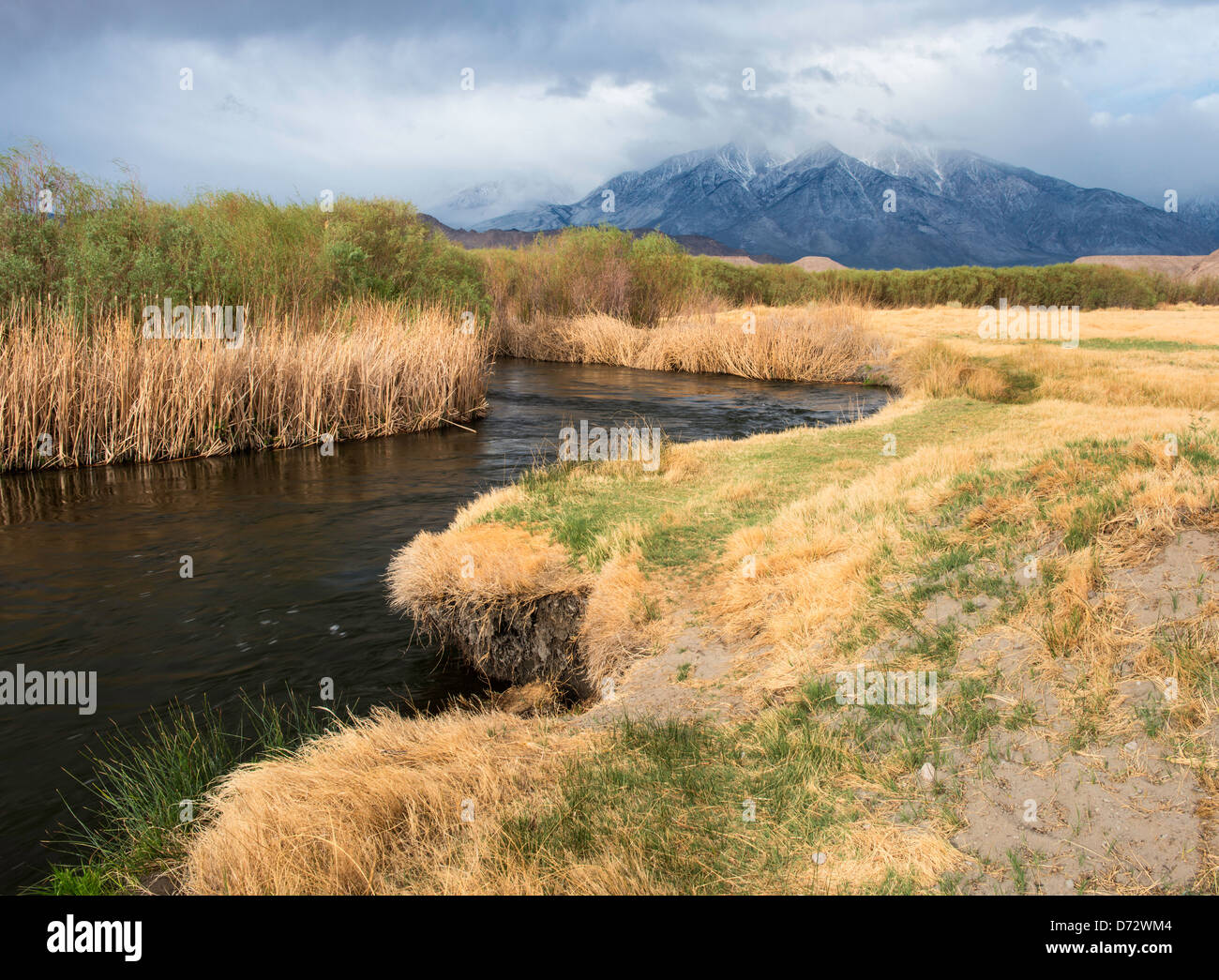 La rivière Owens et la Sierra Nevada Banque D'Images