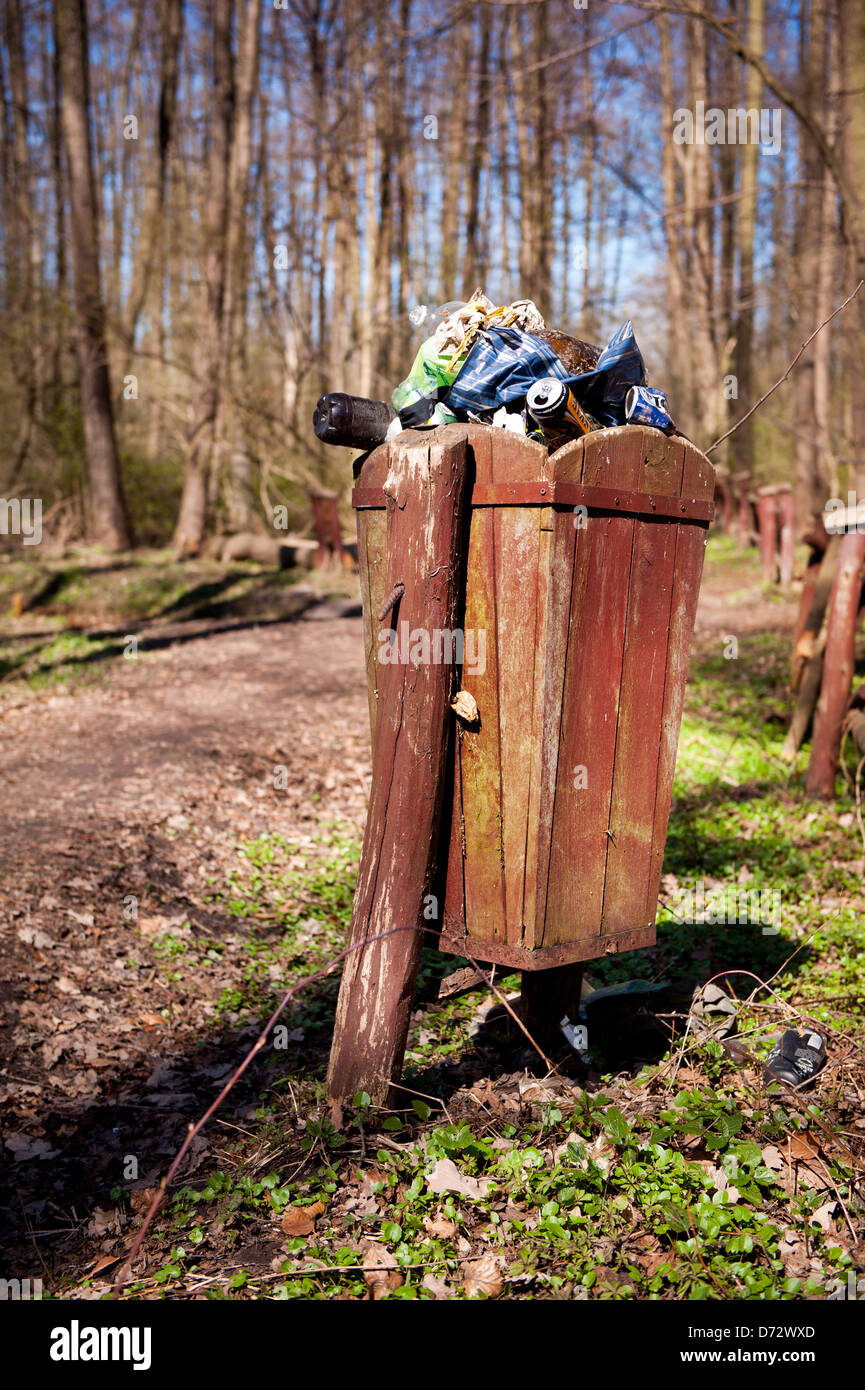 La saison du printemps et de déchets dans la forêt Banque D'Images