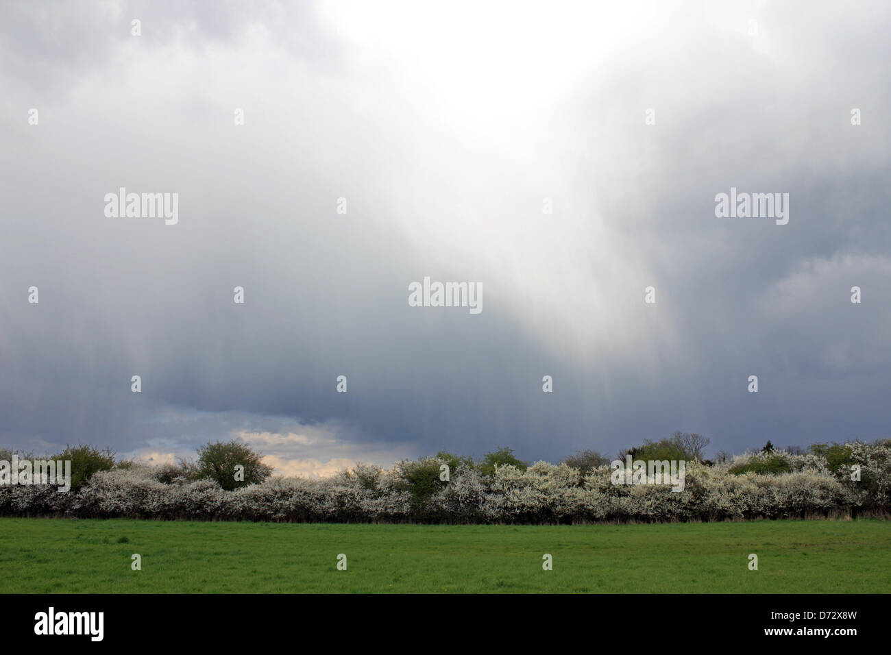 Cour Tolworth Farm, Surrey, UK. 27 avril 2013. La pluie tombe des nuages pour un jour de soleil et averses d'avril dans le sud de la Grande-Bretagne. Credit : Julia Gavin /Alamy Live News Banque D'Images