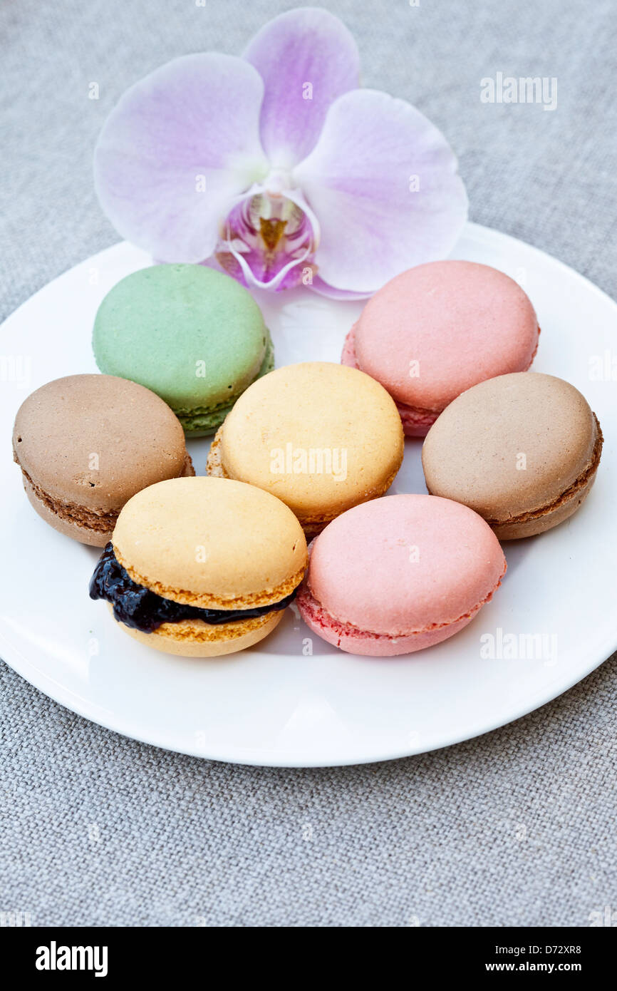 Une gamme de macarrons de couleurs variées et des saveurs Banque D'Images