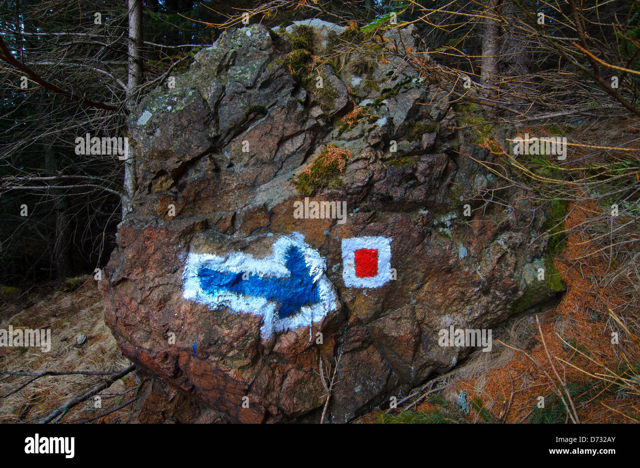 Flèche directionnelle sur la montagne Banque D'Images