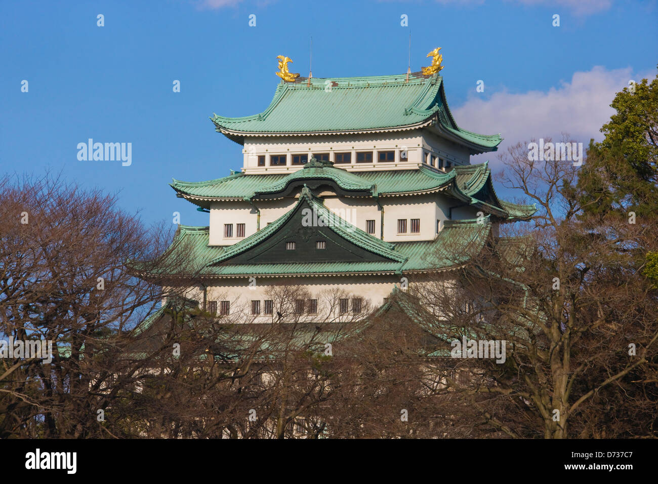 Château de Nagoya, Japon Banque D'Images Château de Nagoya, Japon Banque D'Images