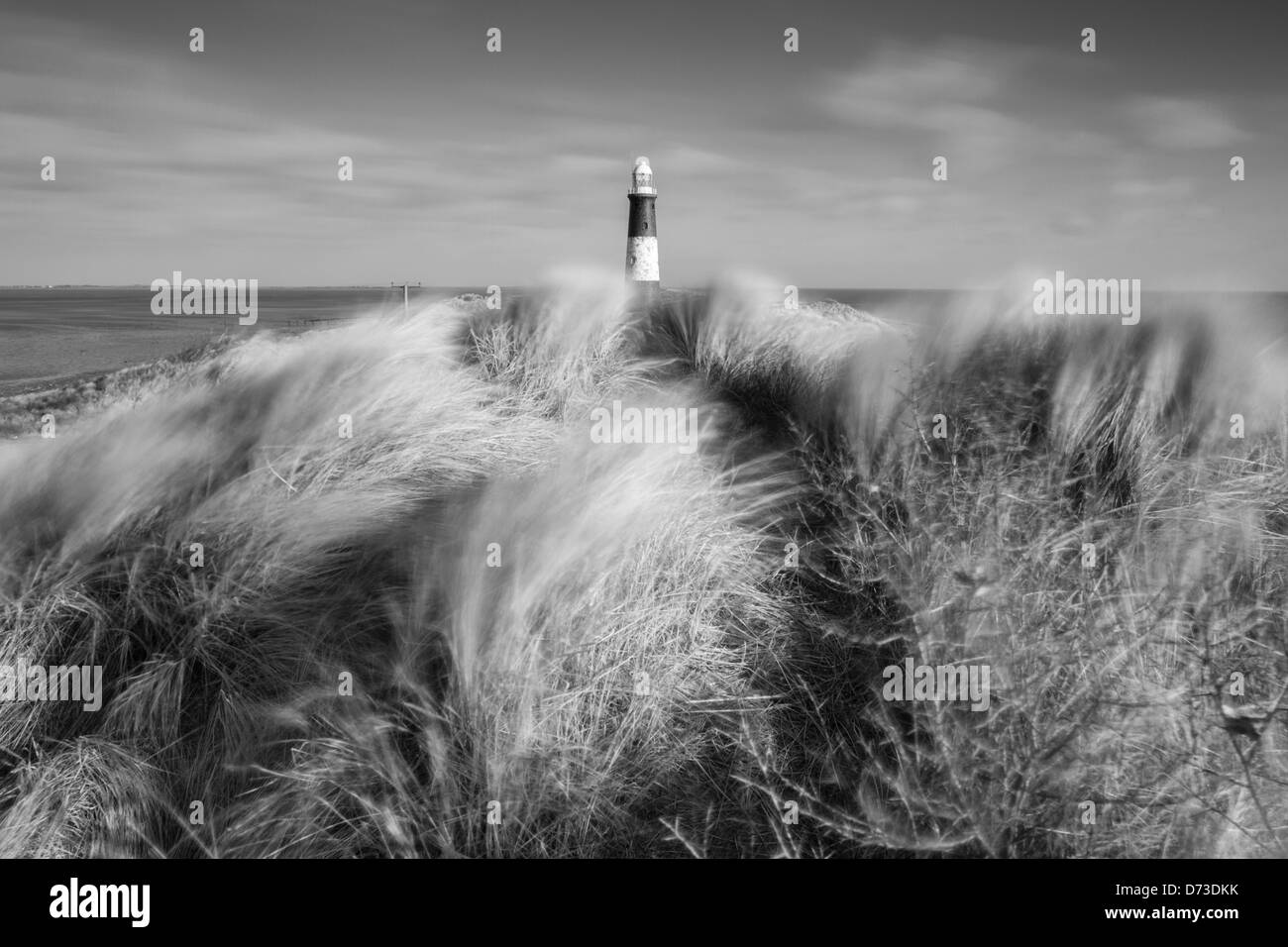 Repousser la tête de Point Sable de l'East Yorkshire Hull Station de Sauvetage phare longue RSPB la dérive littorale nature écologie fragile de l'Érosion Banque D'Images