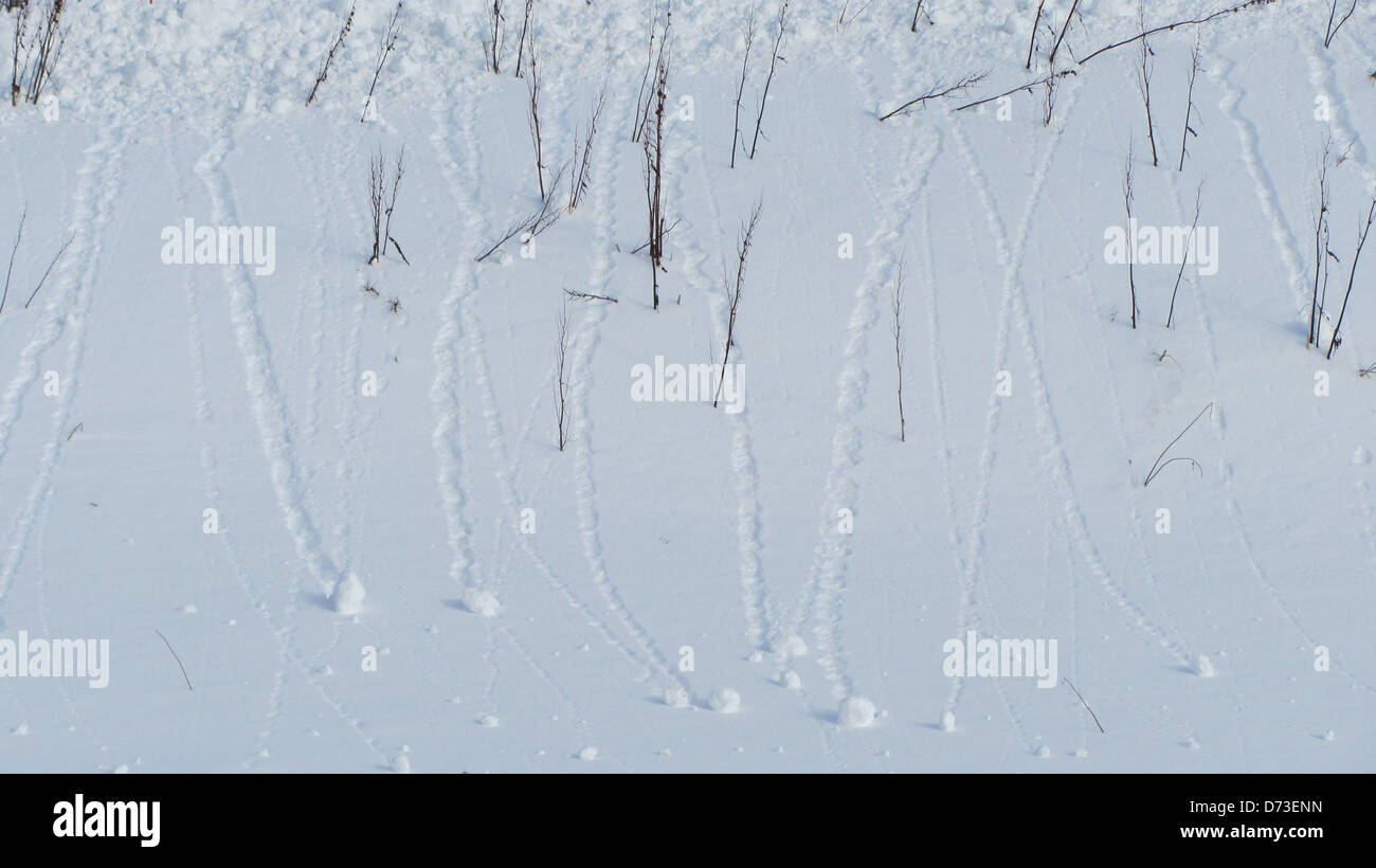 Boules de neige dévalant une colline - troms tromso Norvège hiver Banque D'Images