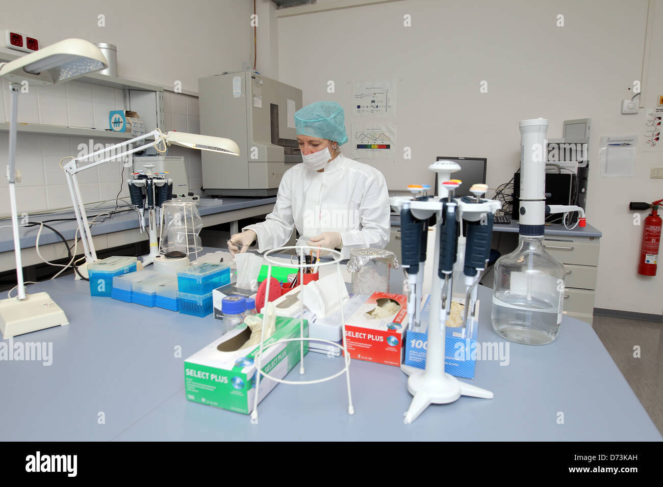 Kiel, Allemagne, assistant de laboratoire dans le laboratoire d'ADN de la LKA Schleswig-Holstein Banque D'Images
