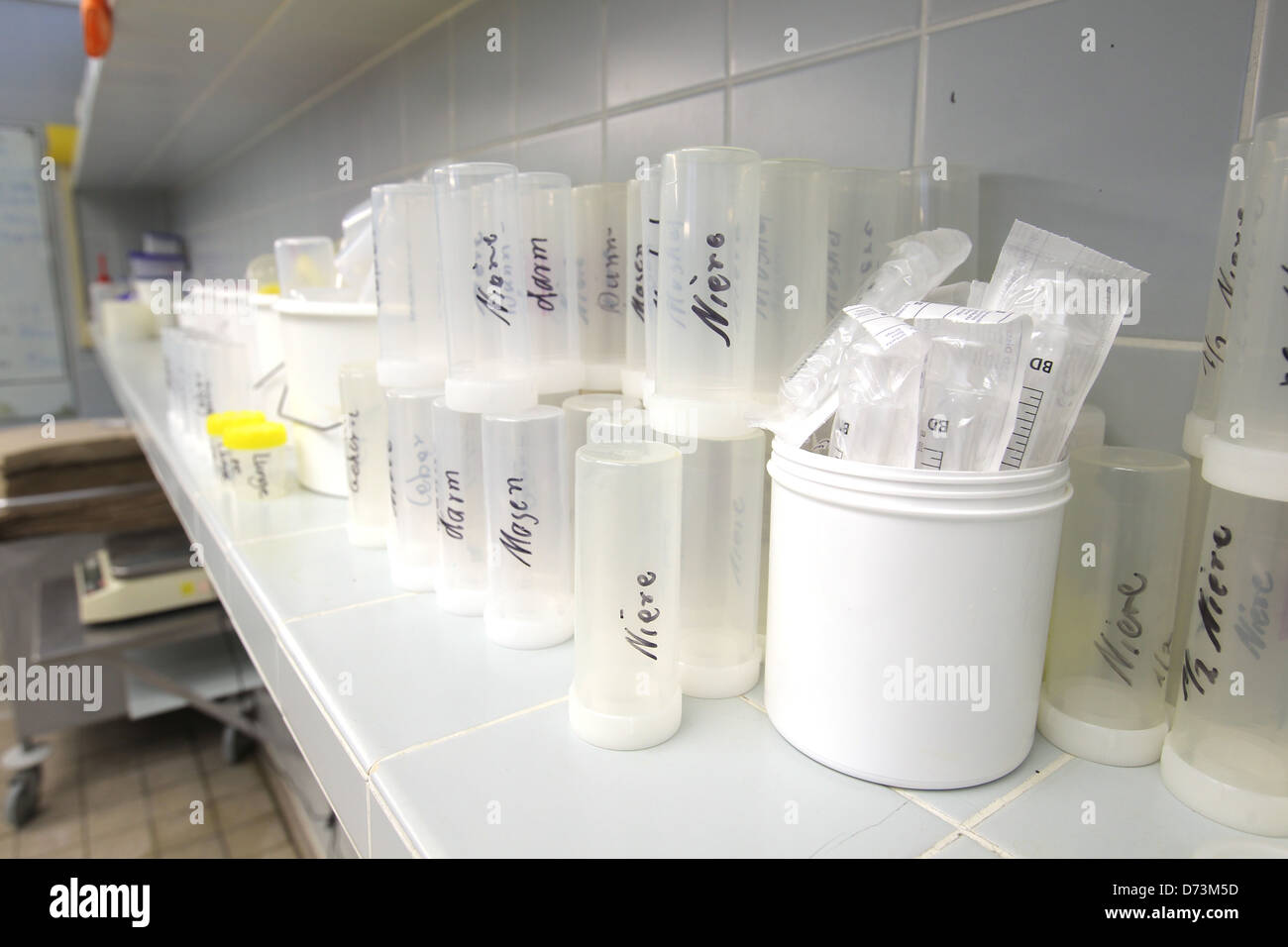 Kiel, Allemagne, échantillon de tissu tasse de pathologie à l'Institut de médecine légale de la UKSH Banque D'Images