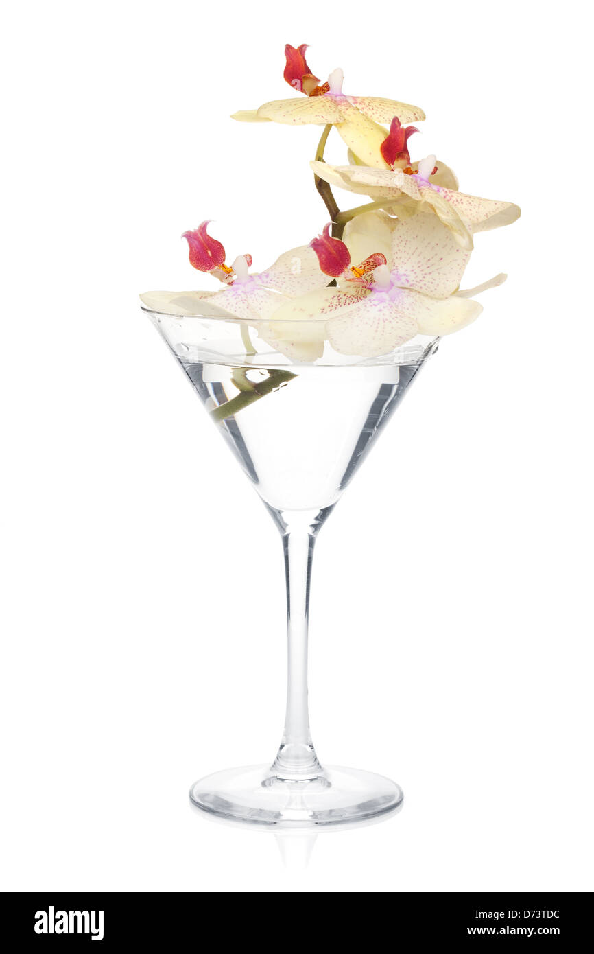 Fleurs d'orchidée dans un verre à cocktail. Isolé sur fond blanc Banque D'Images