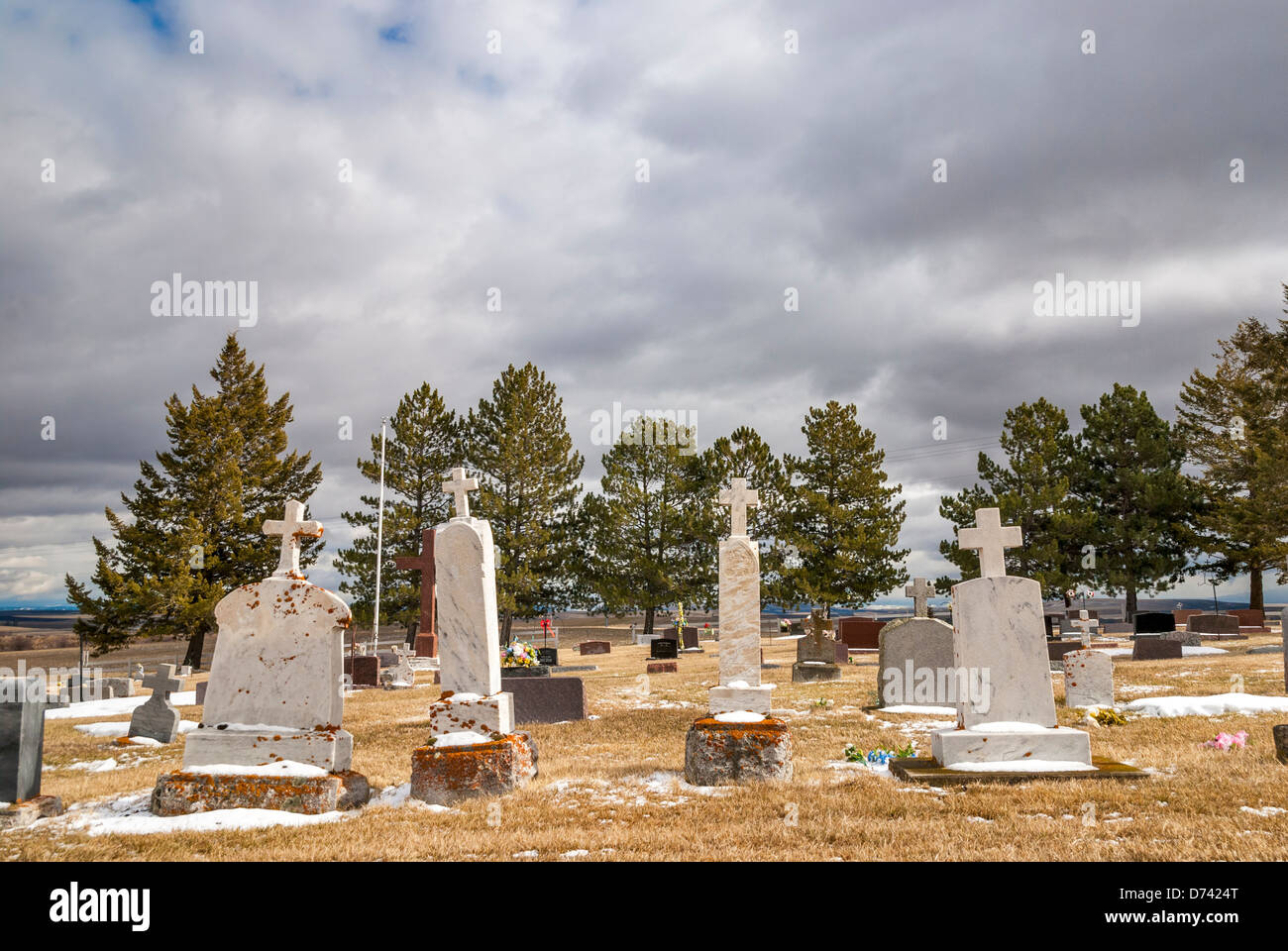 Des pierres tombales et des pins à un cimetière en Arkansas Banque D'Images