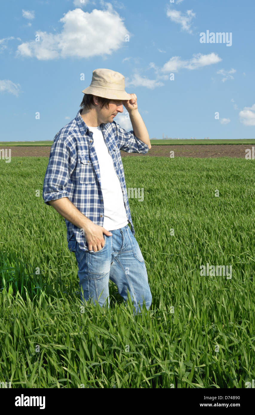 Fermier dans un champ de blé contre le ciel bleu. Banque D'Images